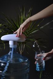 Помпа электрическая Ecotronic PLR-300 white аккумуляторная 